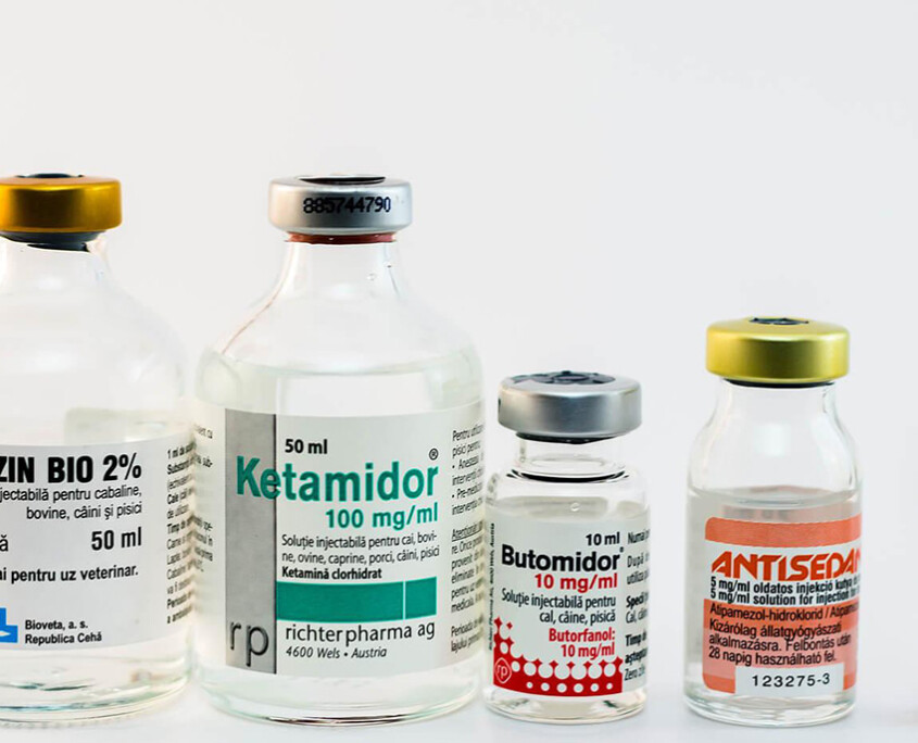 A row of injected medication bottles represents the danger of overdosing on opioids. Learn how opioid addiction treatment in New York, NY can offer support from the comfort of home via online opioid treatment in New York, NY. Contact us to learn more about telepsychiatry in New York, NY today.