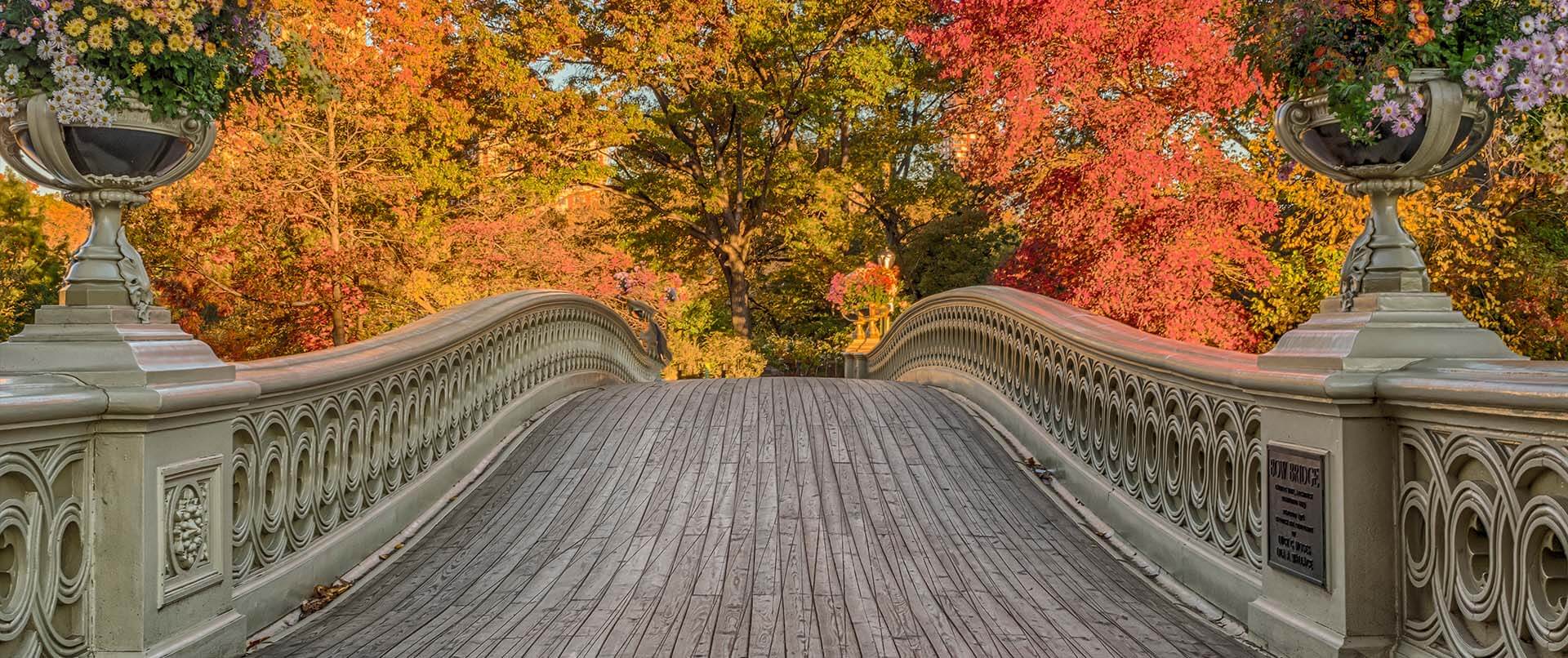 Elegant arching bridge with colorful fall trees in the background